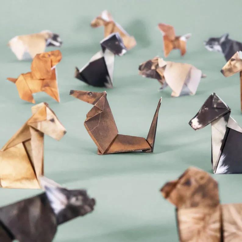 DIY Papieren Katten