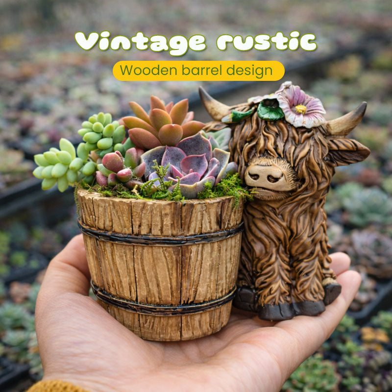 🐮🌿 BloomBuddy Highland Cow Succulent Plantenpot