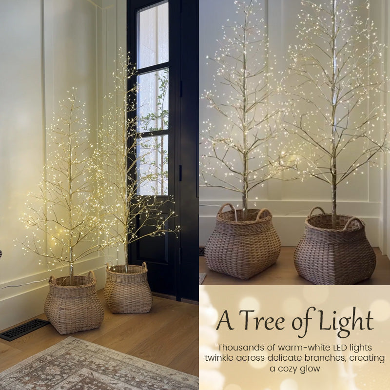 ✨ Betoverende kerstverlichting in de kerstboom 🎄🌟