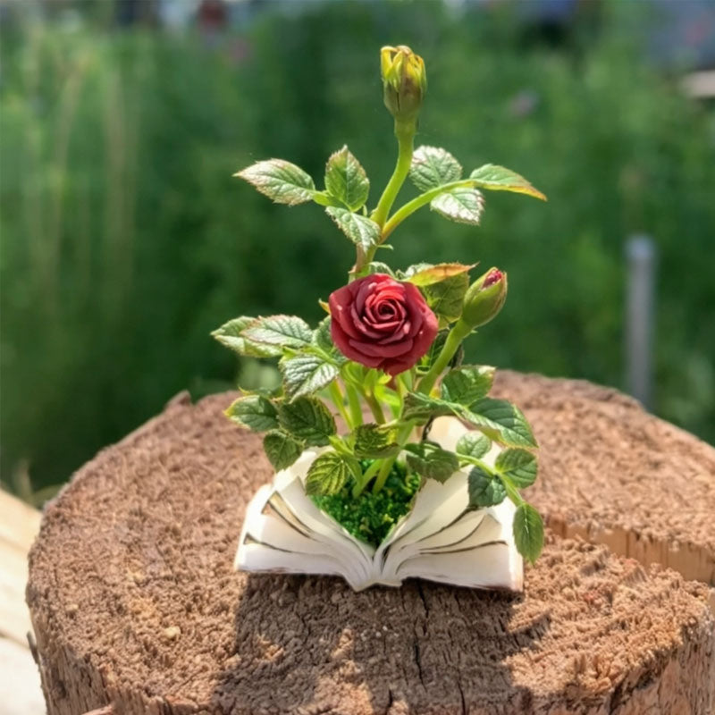 Miniatuurboekbloemen: een sprookje in de palm van je hand.