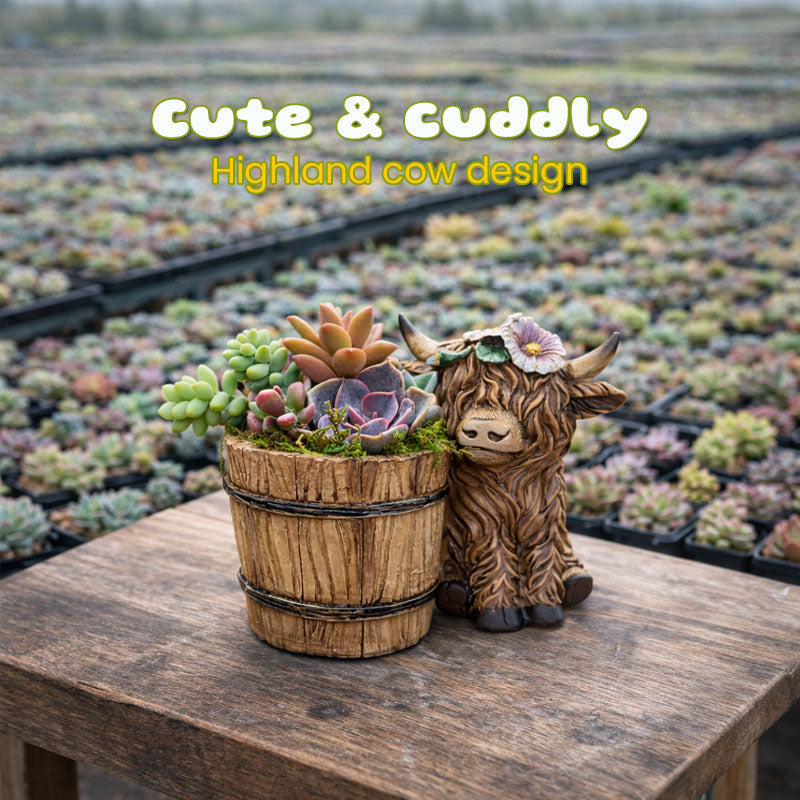 🐮🌿 BloomBuddy Highland Cow Succulent Plantenpot