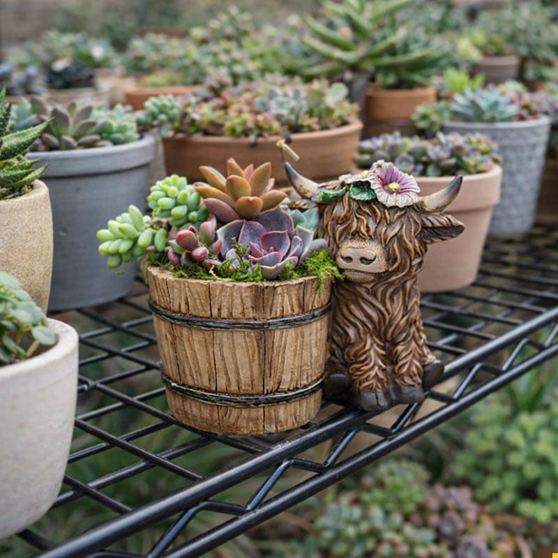 🐮🌿 BloomBuddy Highland Cow Succulent Plantenpot