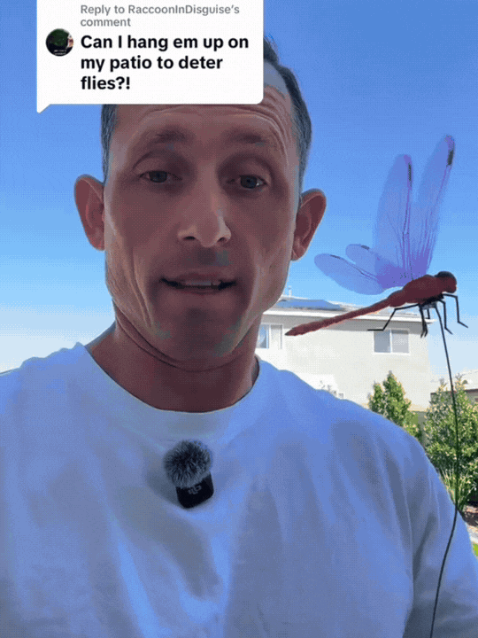 🔥Libellenclip Insectenverdelger Llent